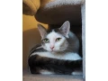 bojazlive-mojkadlo-oliver-hlada-domov-small-2