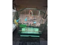 predam-klietky-small-1