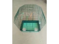 klietka-na-andulky-small-1