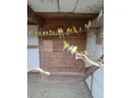 predam-small-2