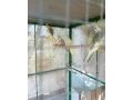 korela-small-1