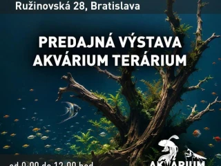 akvaburza-ba-5september