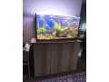 predam-zabehnute-akvarium-small-0