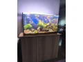 predam-zabehnute-akvarium-small-1