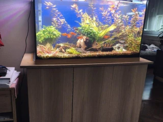 predam-zabehnute-akvarium