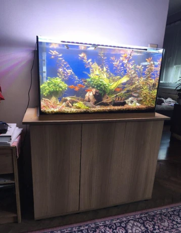 predam-zabehnute-akvarium-big-0