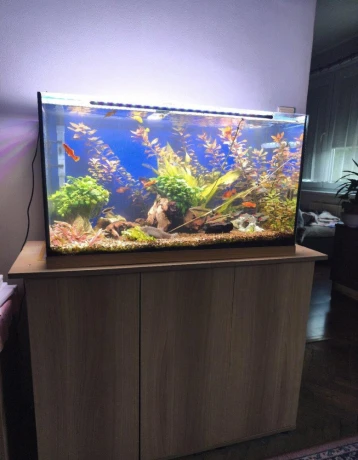 predam-zabehnute-akvarium-big-1