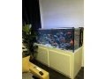 predam-komplet-akvarium-680l-small-0