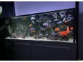 predam-komplet-akvarium-680l-small-3