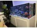 predam-komplet-akvarium-680l-small-1