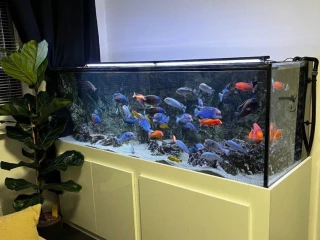 predam-komplet-akvarium-680l