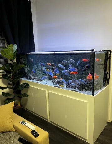 predam-komplet-akvarium-680l-big-0