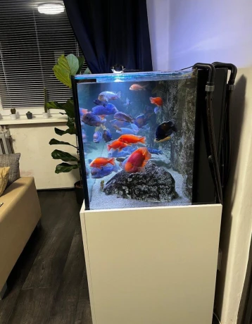 predam-komplet-akvarium-680l-big-4