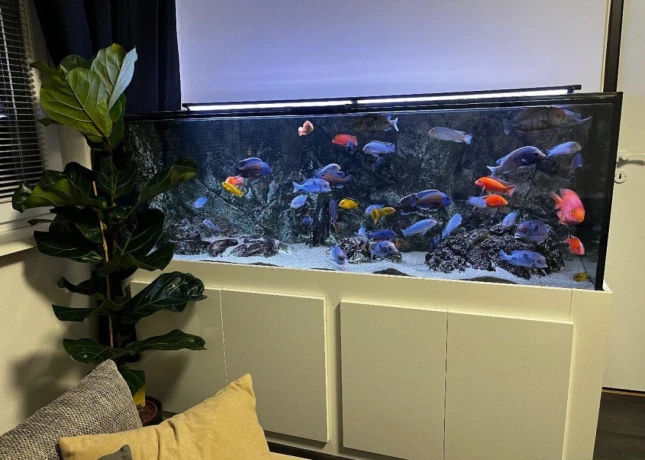 predam-komplet-akvarium-680l-big-2
