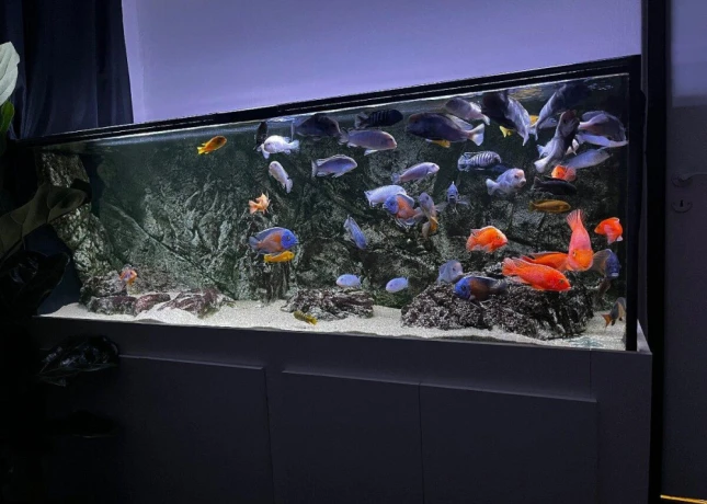 predam-komplet-akvarium-680l-big-3