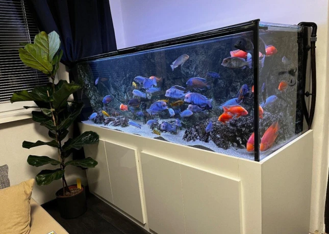 predam-komplet-akvarium-680l-big-1
