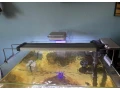 akvarijne-svetlo-chihiros-small-1