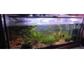 predam-akvarium-450-l-small-2