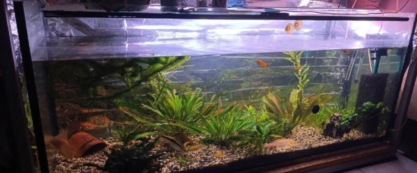 predam-akvarium-450-l-big-2