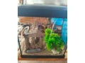 predam-60-l-komplet-akvarium-small-2