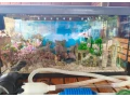 predam-60-l-komplet-akvarium-small-1