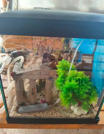 predam-60-l-komplet-akvarium-big-2