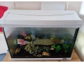 akvarium-small-0