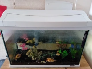 akvarium