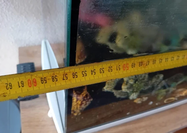 akvarium-big-4