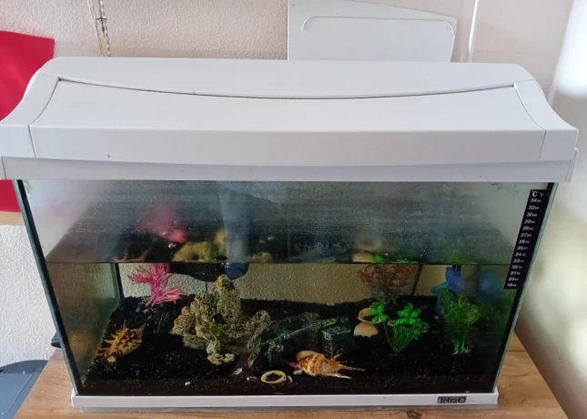 akvarium-big-0