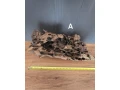korene-do-akvaria-small-0