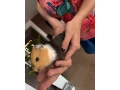 morciatko-small-4