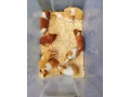 morske-prasiatka-morcatamorca-small-1