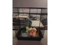 klietka-pre-hlodavce-small-3