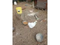 hodvabnicky-zdrobnele-3ks-small-0