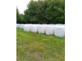 predam-velke-senazne-baliky-z-tohtorocnej-mladej-travy-small-0