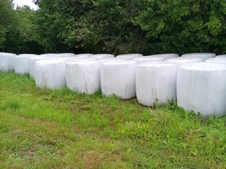 predam-velke-senazne-baliky-z-tohtorocnej-mladej-travy