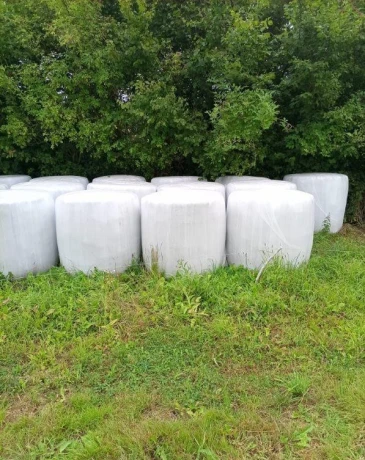 predam-velke-senazne-baliky-z-tohtorocnej-mladej-travy-big-1