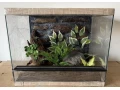 zariadene-terarium-50x35x35-a-50x40x40-small-2