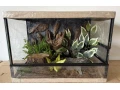 zariadene-terarium-50x35x35-a-50x40x40-small-0