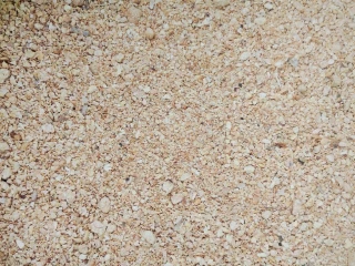 soja
