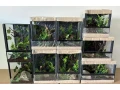 miniterarium-small-0