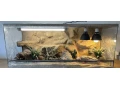 terarium-120x50x50-s-3d-stenou-small-0