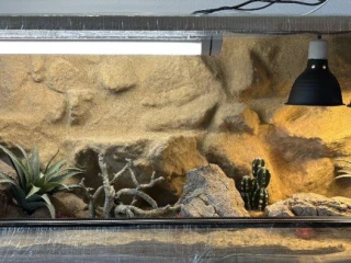 terarium-120x50x50-s-3d-stenou