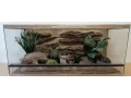 terarium-90x40x40-s-3d-stenou-small-2