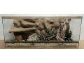 terarium-90x40x40-s-3d-stenou-small-1