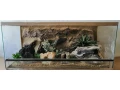 terarium-90x40x40-s-3d-stenou-small-4