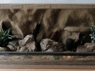 terarium-90x40x40-s-3d-stenou