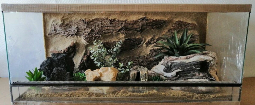 terarium-90x40x40-s-3d-stenou-big-4