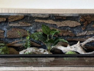 terarium-125x40x40-s-3d-stenou